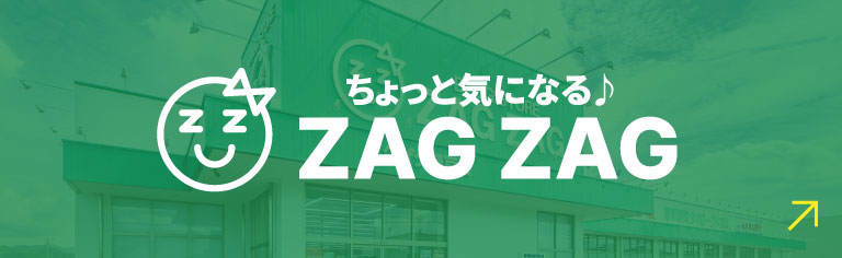 ちょっと気になる♪ ZAGZAG コーポレートサイト
